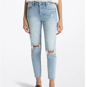 Vigoss High Rise Ankle Straight Slim Fit Jean Frankie fit